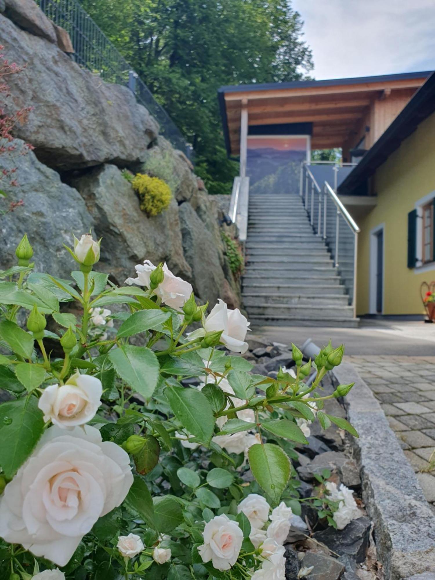 Apartament Weingut Pugl Leibnitz Zewnętrze zdjęcie
